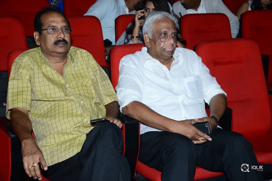 Spyder-Movie-Pre-Release-Function